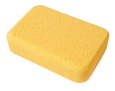 Pro Sponge - 1 Count