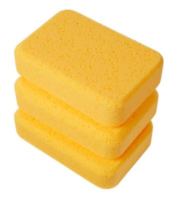 Pro Sponge - 3 Pack