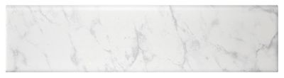 Carrara Gris Gloss Ceramic Round Edge Long Wall and Floor Tile - 4 x 16 in.