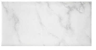 Carrara Gris Gloss Ceramic Subway Wall Tile - 3 x 6 in