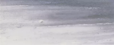 Everest Azure Polished Ceramic Wall Tile - 8 x 20 in. - The Tile Shop