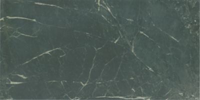 Verde Alpi Polished Porcelain Wall and Floor Tile - 24 x 48 in.