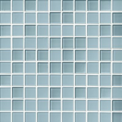 Glass Fresh Water Blend Mosaic Wall and Floor Tile - 1 in.