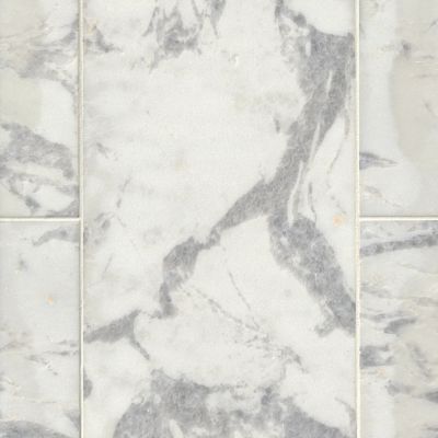 Africa Tempesta Polished Marble Wall and Floor Tile - 12 x 24 in.