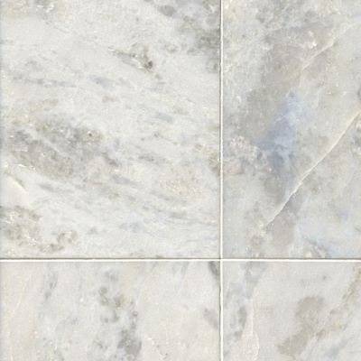 Africa Tempesta Polished Marble Wall and Floor Tile - 12 x 18 in.