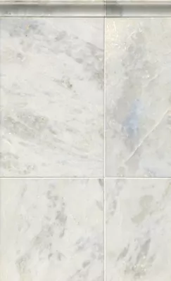 Africa Tempesta Polished Marble Wall and Floor Tile - 12 x 24 in.