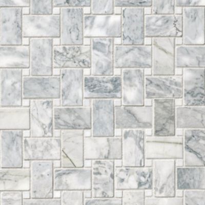 Ashford Carrara Pol Niles with White Dot Marble Wall and Floor Tile