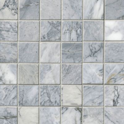 Ashford Carrara Polished Marble Wall and Floor Tile - 2 in.