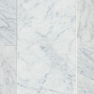 Firenze Carrara Polished Marble Wall and Floor Tile 12 x 24 in.