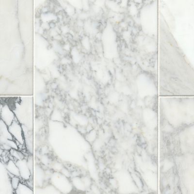 Firenze Calacatta Polished Marble Wall and Floor Tile 12 x 24 in.