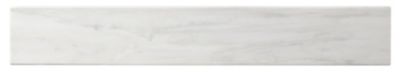 Firenze Calacatta Honed Curb Marble Floor Trim Tile - 42 x 6.5 x .75 in.