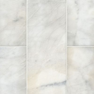 Silver White Polished Marble Wall and Floor Tile - 8 x 20 in.