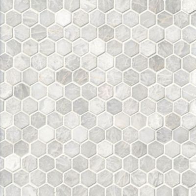 Meram Blanc Carrara Polished Hex Marble Wall and Floor Tile - 1 in.