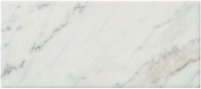 Calacata Evora Honed Marble Wall and Floor Tile - 8 x 18 in.