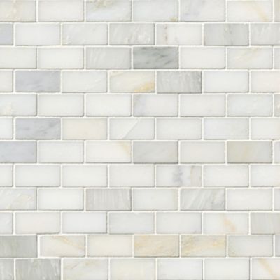 Hampton Carrara Cardine 1 x 2 in.