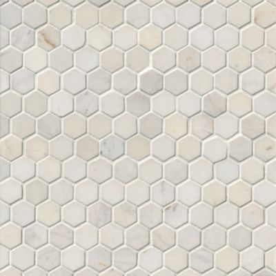 Royal White Polished Marble Hexagon Mosaic Wall and Floor Tile - 1 in.