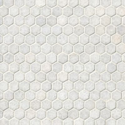 San Dona Polished Hex Marble Wall and Floor Tile - 1 x 1 in.