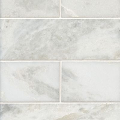 Africa Tempesta Polished Marble Subway Wall and Floor Tile - 4 x 12 in.