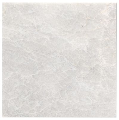 Meram Blanc Carrara Marble Floor Tile - 12 x 12 in.