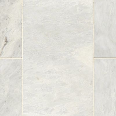 Meram Blanc Carrara Polished Marble Floor Tile - 12 x 24 in.
