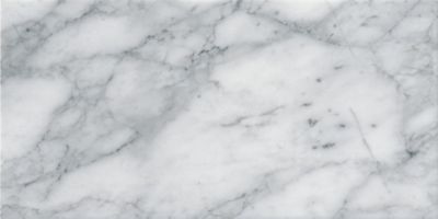 Ashford Carrara Polished Marble Wall and Floor Tile - 12 x 24 in.