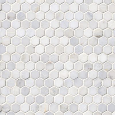 Hampton Carrara Hex Marble Mosaic Tile - 1 x 1 in.