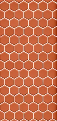 Imperial Spice Gloss Hex Ceramic Mosaic Wall and Floor Tile - 2 in