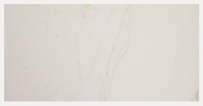 Statuario Matte Porcelain Wall and Floor Tile - 12 x 24 in.