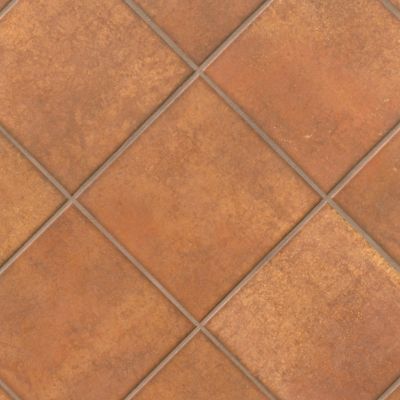 Spanish Floor Tiles