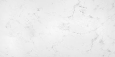 Carrara Gris Porcelain Gloss Wall and Floor Tile 12 x 24 in.