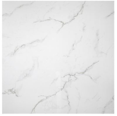Calacutta Bianco Gloss Porcelain Wall and Floor Tile - 24 in.