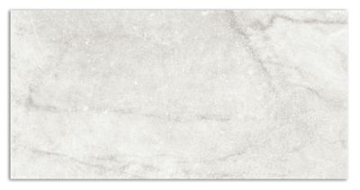 Centuries Pisa Porcelain Wall and Floor Tile - 12 x 24 in.