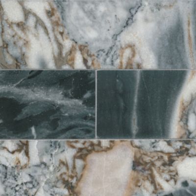 Roma Impression Polished Marble Wall and Floor Tile - 4 x 12 in.