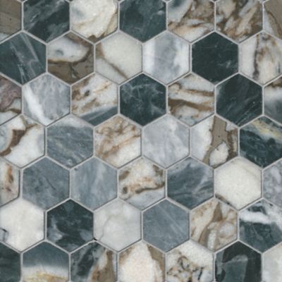 Roma Impression Polished Hex Marble Mosaic Wall and Floor Tile - 2 in.