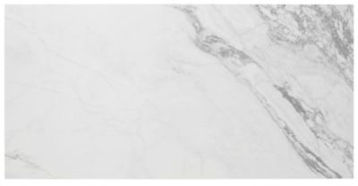 Niro White Matte Porcelain Wall and Floor Tile - 24 x 48 in