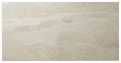 Erding Pearl Matte Porcelain Wall and Floor Tile - 24 x 48 in.