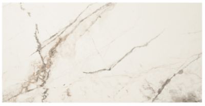 Calacutta Bianco Gloss Porcelain Wall and Floor Tile - 12 x 24 in. - The  Tile Shop