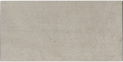 Element Grey Porcelain Wall and Floor Tile - 12 x 24 in.