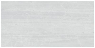 Badab Neutro Gloss Porcelain Wall and Floor Tile - 12 x 24 in.