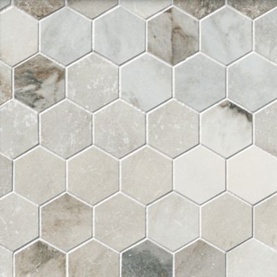 Royal Grey Hex Porcelain Mosaic Wall and Floor Tile - 2 in.