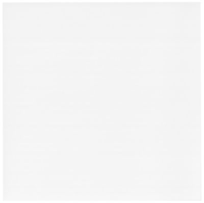 Colorgloss White Porcelain Wall and Floor Tile - 23 x 23 in.