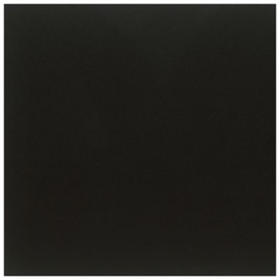 Colormatte Black Porcelain Wall and Floor Tile - 23 x 23 in.