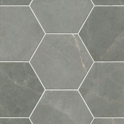 Pulpis Dark Grey Hex Porcelain Wall and Floor Tile - 10 in.