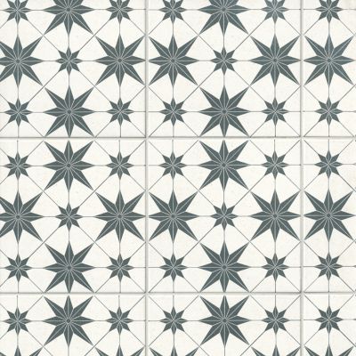 Asteri Porcelain Wall and Floor Tile - 8 x 8 in.
