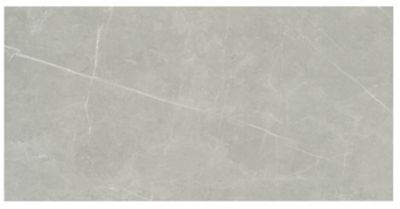 Aterra Antracite Matte Porcelain Wall and Floor Tile - 24 x 48 in. - The  Tile Shop