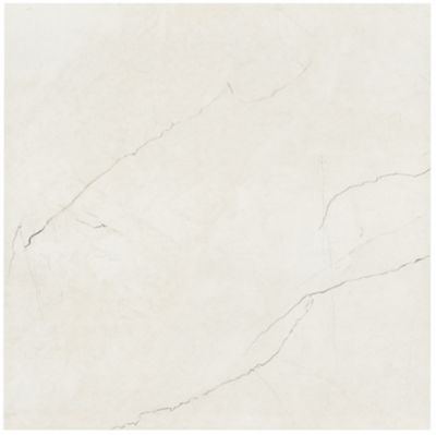 Desert Natural Polished Porcelain Wall and Floor Tile - 24 x 24 in.