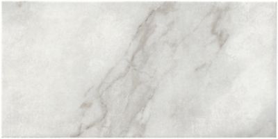 Alabaster Blanco Porcelain Wall and Floor Tile - 12 x 24 in. - The Tile Shop