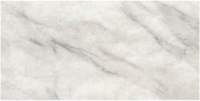 Livingstone Bianco Porcelain Wall and Floor Tile - 24 x 48 in.