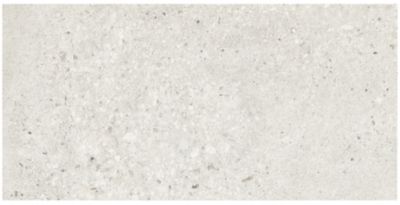 Chamonix White Porcelain Wall and Floor Tile - 12 x 24 in.