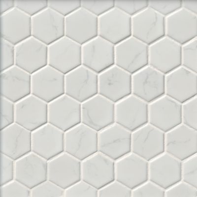 Calacutta Bianco Polished Hex Porcelain Mosaic Wall and Floor Tile - 2 in.